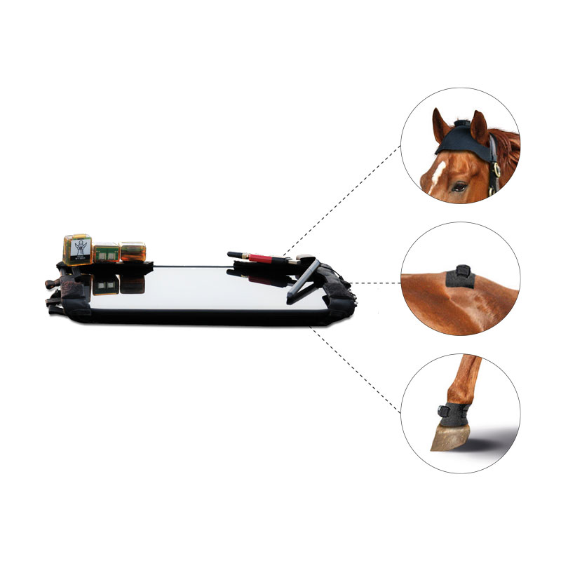 EQUINOSIS Q™ Lameness Locator, inkl. eksempler
